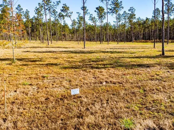 20 Big Buck Dr, Moscow, TX 75960