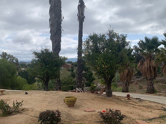 5th image of 35800 Calle Nopal Rd