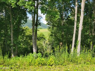 36 Dry Hill Rd, Butler, TN 37640