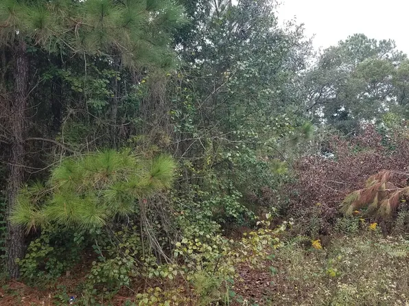 1887 Vale Street SW, Supply, NC 28462
