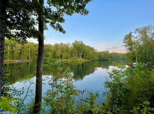 9551 Lissara Camp Ct, Lewisville, NC 27023