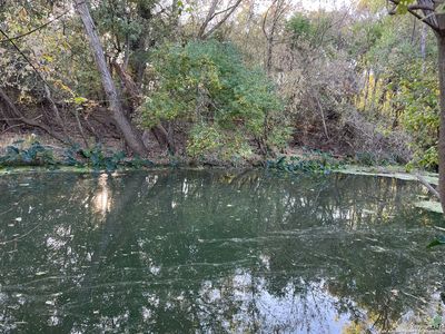 0 Sea Willow Dr LOT 12, Marion, TX, 78124