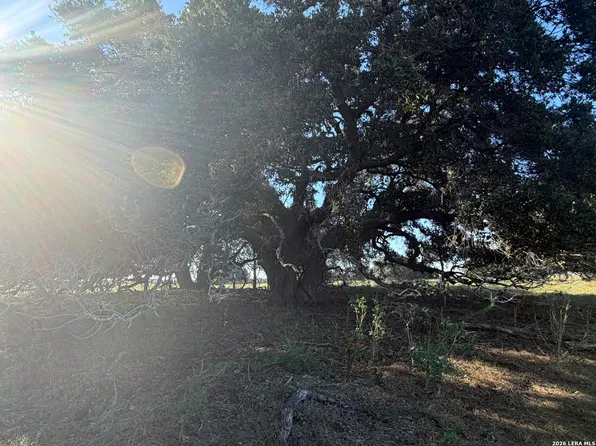 TBD State Highway 123 S LOT 4, Stockdale, TX 78160