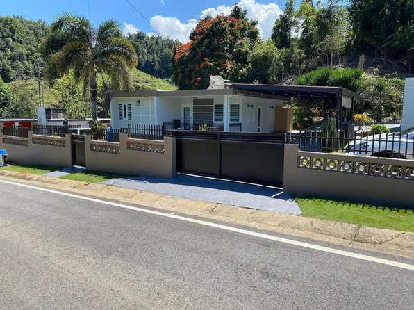 State Route 488 Camino Carbones Km #1.8, Camuy, PR 00627