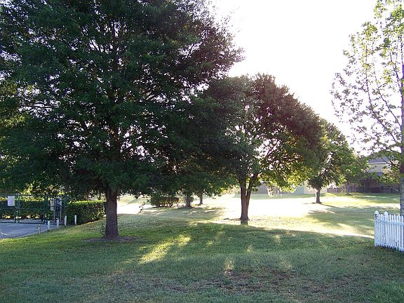 Sunrise in the back yard