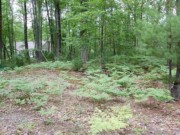 3rd image of 30 Pine Trce