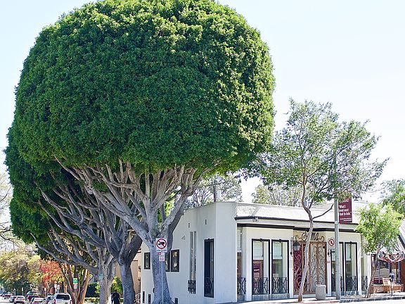 5th image of 8460 Santa Monica Blvd