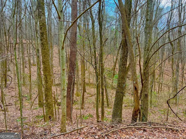 138 Saint Andrews Way, Ellijay, GA 30536