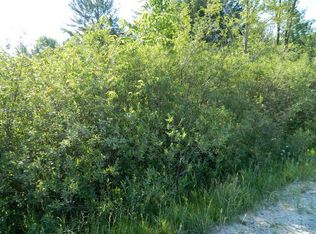 3809 E City Limits Rd, Standish, MI 48658