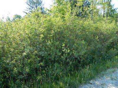 3809 E City Limits Rd, Standish, MI, 48658