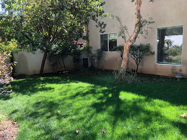 Back yard 2