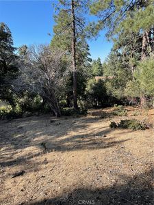 0 S Valley View Dr #5, Idyllwild, CA, 92549