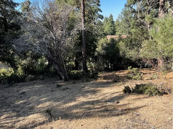 0 S Valley View Dr #5, Idyllwild, CA 92549