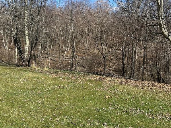 1100 Prosperity School Rd, Rock, WV 24747