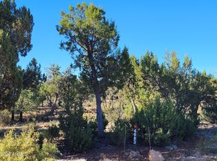 4083 SUNSET RIDGE Loop #175, Happy Jack, AZ 86024