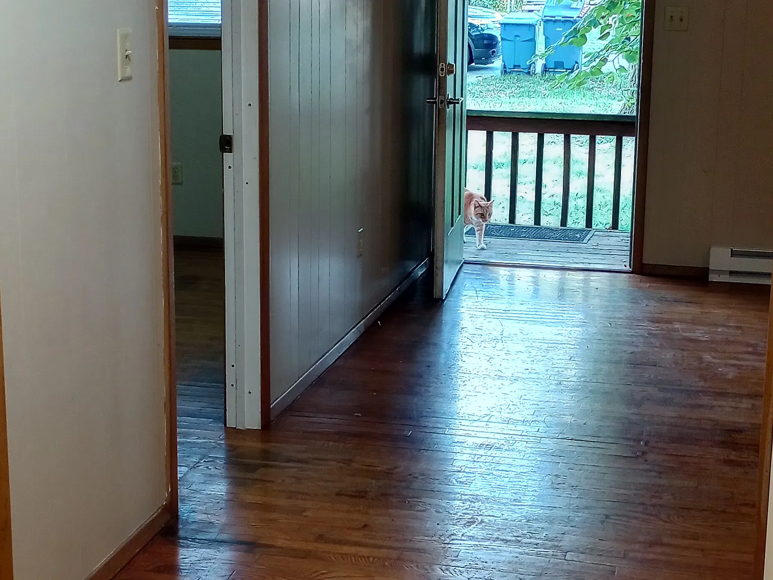 2 bed, 750 sqft, $950 — Photo 3