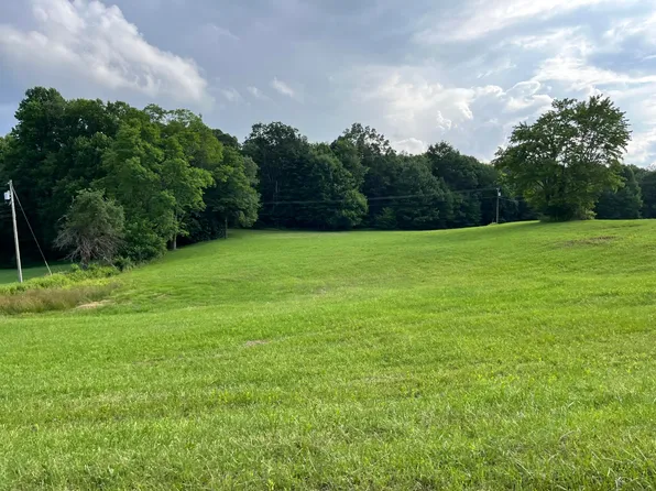 772 Leivasy Rd, Nettie, WV 26681