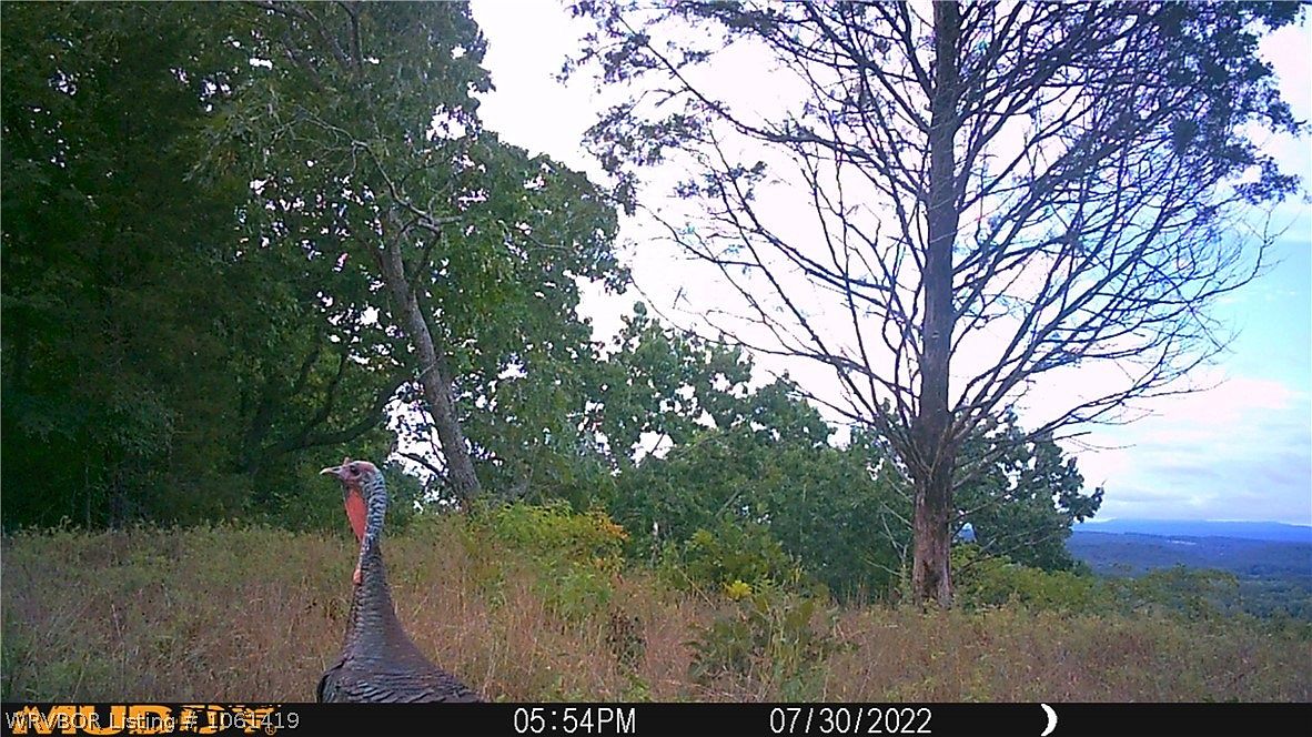 56 Highway 41, Cecil, AR 72930 MLS 1061419 Zillow