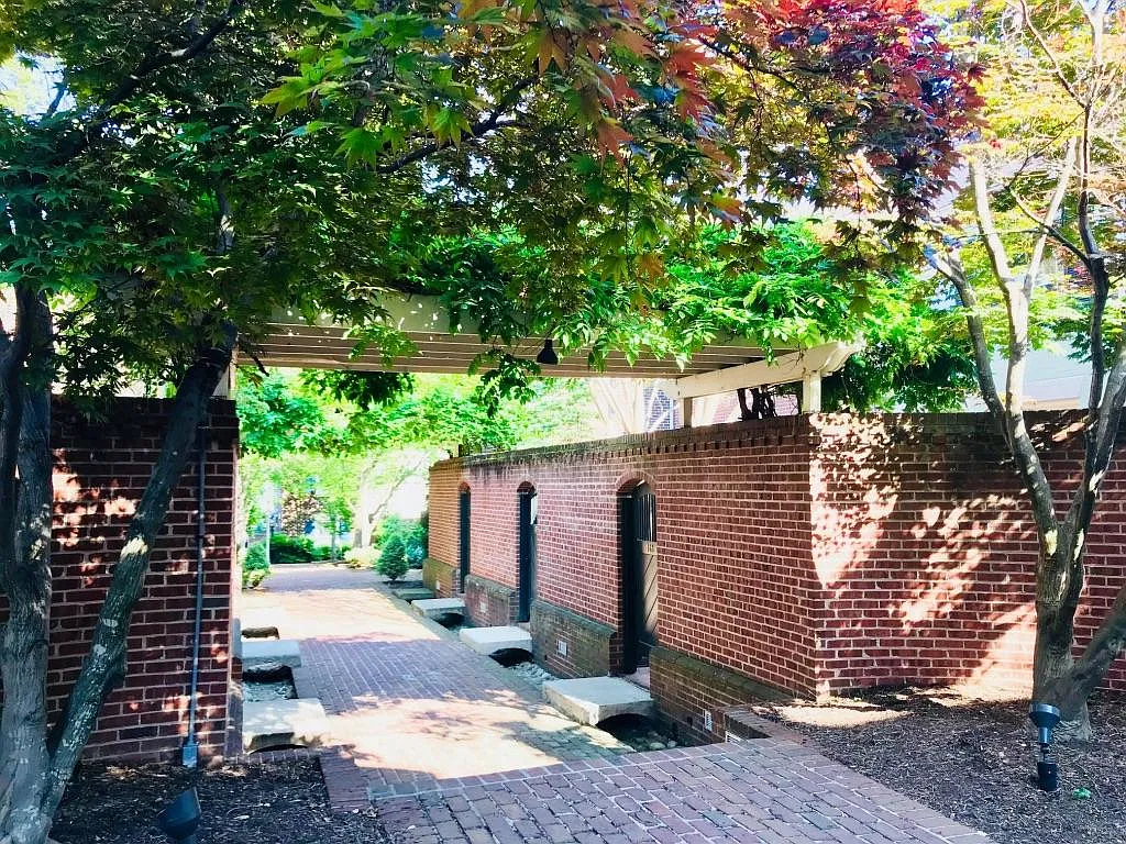 2 bed, 924 sqft, $3,500 — Photo 3