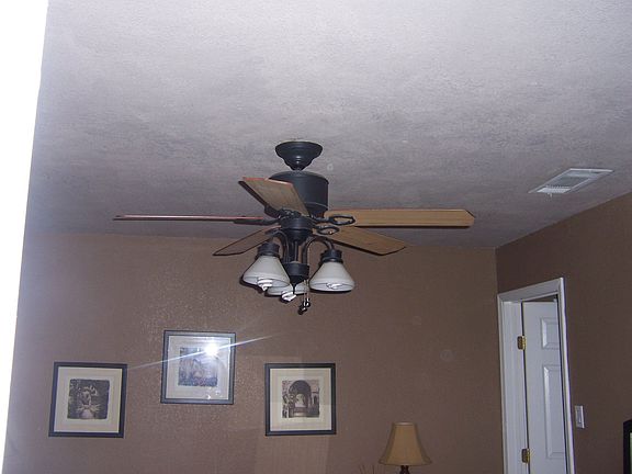 updated ceiling fans/ lights