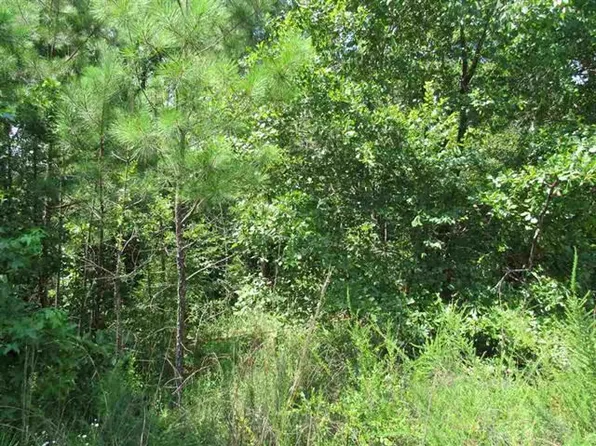 2891 Dixon Rd, Roberta, GA 31078