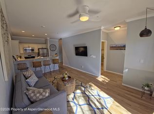 1400 E Valley Rd Unit 212, Basalt, CO 81621
