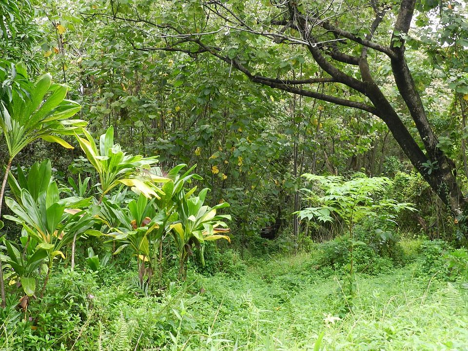 1st image of Akanikolea St Lot 135
