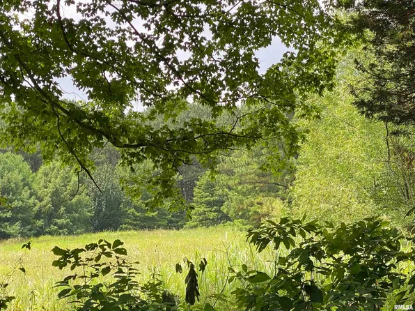 915 Sullivan Rd, Makanda, IL 62958