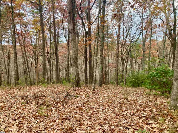 325 Highridge Pkwy, Marietta, SC 29661
