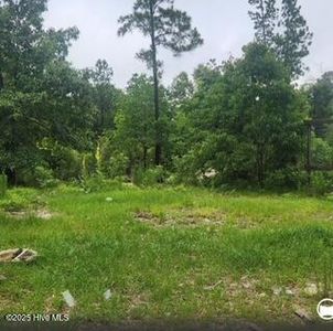 342 Ponderosa Drive, Hamlet, NC, 28345