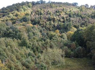 Off Moonshine Holler Rd, Boswell, PA 15531