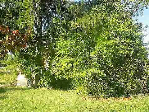 8477 Minock St photo 1