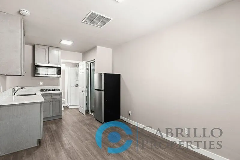 Studio, 1.0 bath, 200 sqft, $1,450 — Photo 4