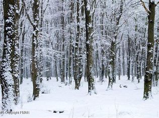 LOT 6004 Scenic Dr, Effort, PA 18330