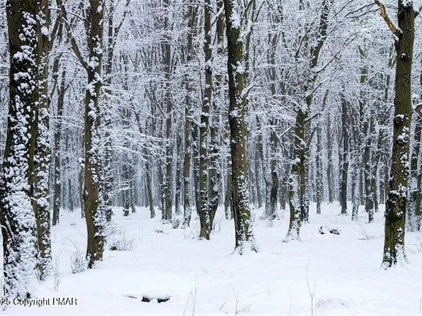 LOT 6004 Scenic Dr, Effort, PA 18330