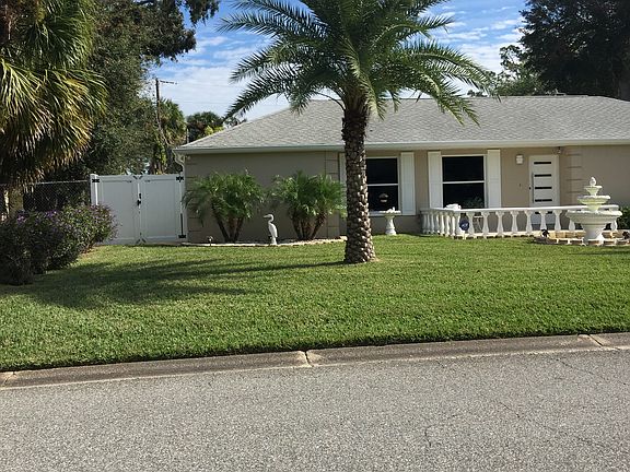 Tropical Sylvestor Palms 