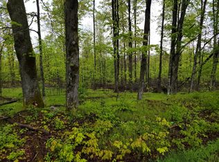 Wilson School Rd, White Lake, WI 54491