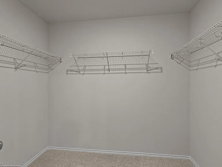 819 Bluegrass Point — Photo 14