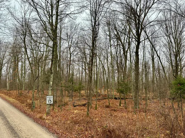 LOT 61 Chip N Dale Dr, Pickerel, WI 54465