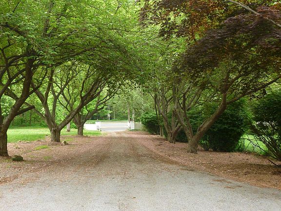4th image of 7829 Old Dominion Dr