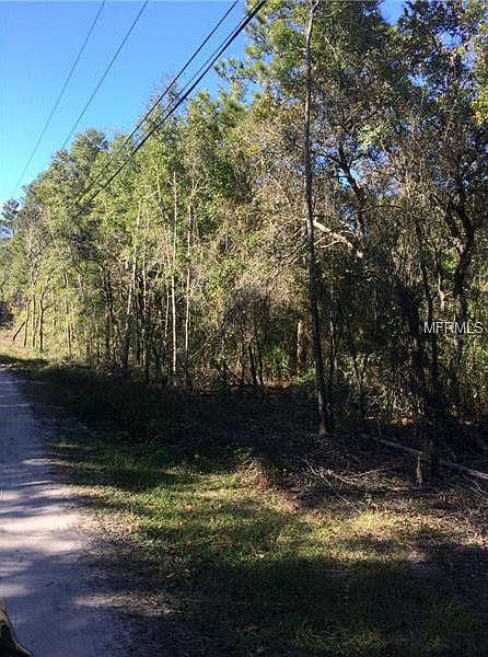 2nd image of Van Cleef Rd