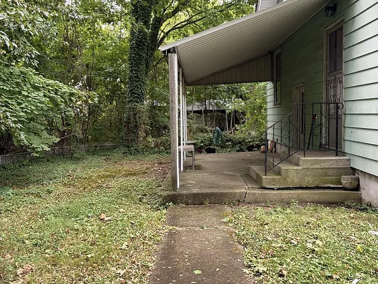 Back yard