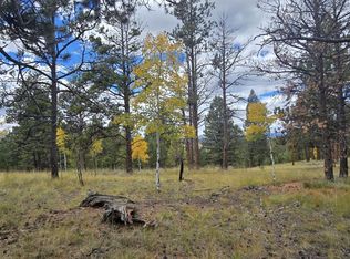 130 Utah Way, Florissant, CO 80816