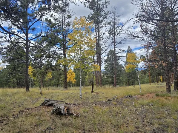 130 Utah Way, Florissant, CO 80816