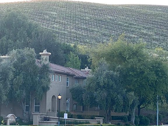 Neighboring vineyard.