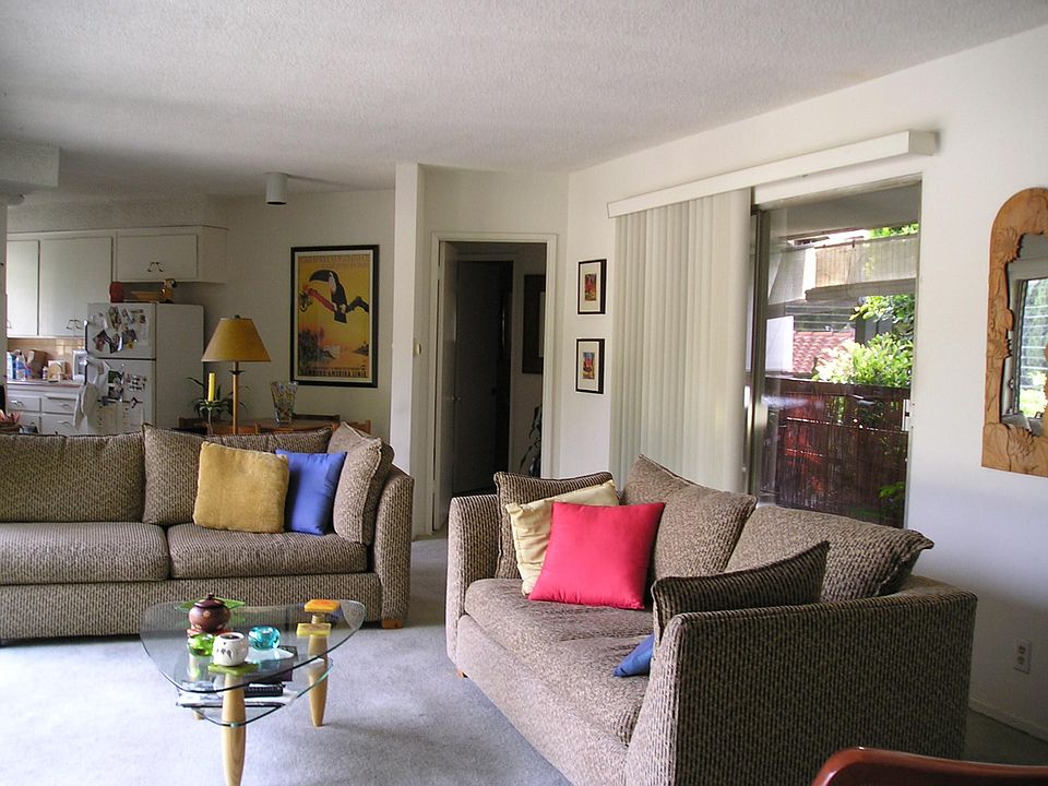 large sunny living room