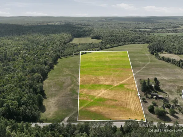 10 acres State Highway 40, Bruce, WI 54819