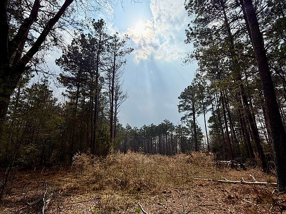 3rd image of 0 Belle Bower Texas Line Rd