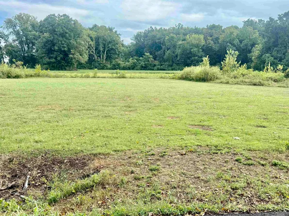 Magnolia Rd, Tiptonville, TN 38079