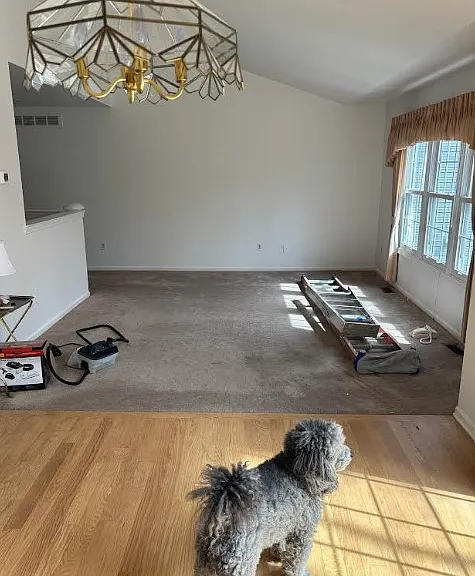 6867 Tangle Wood Dr — Photo 3